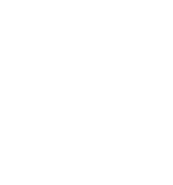 Trail Lanka Travels - Logo Footer