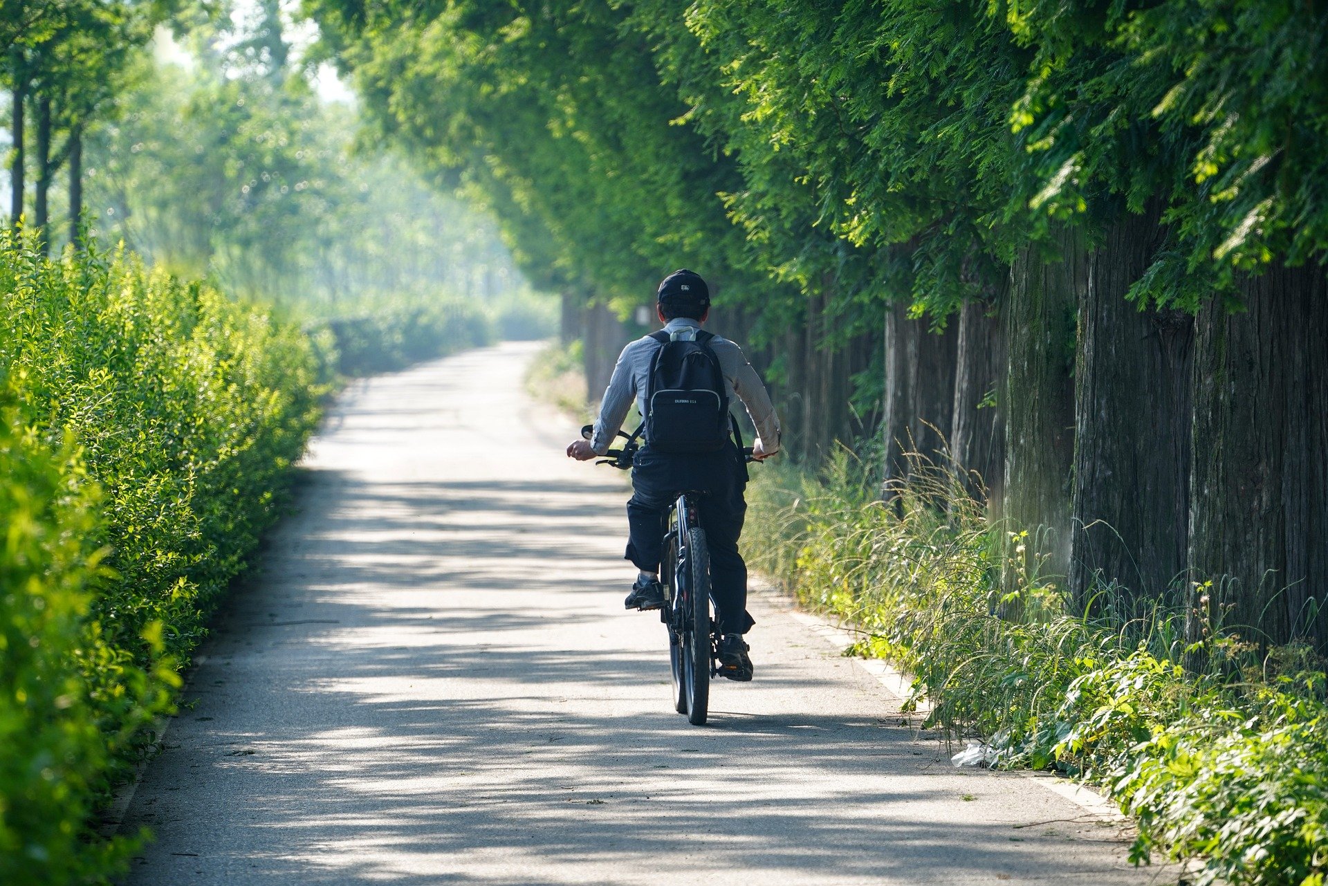 Pedal Through Paradise 