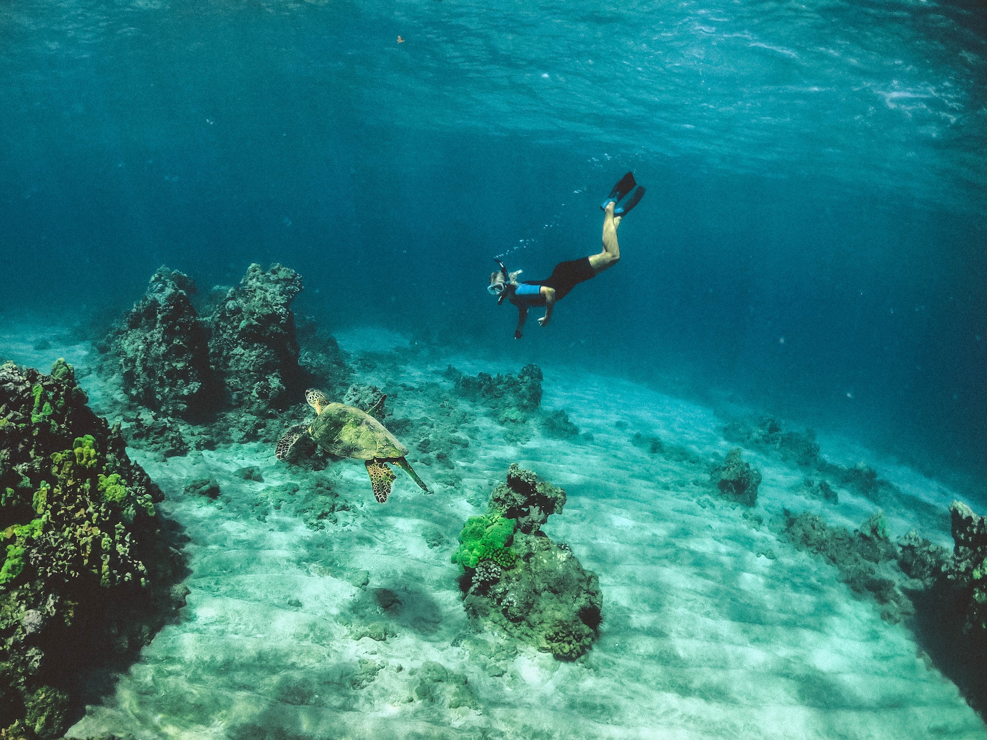 Beneath the Waves - Diving in Sri Lanka 