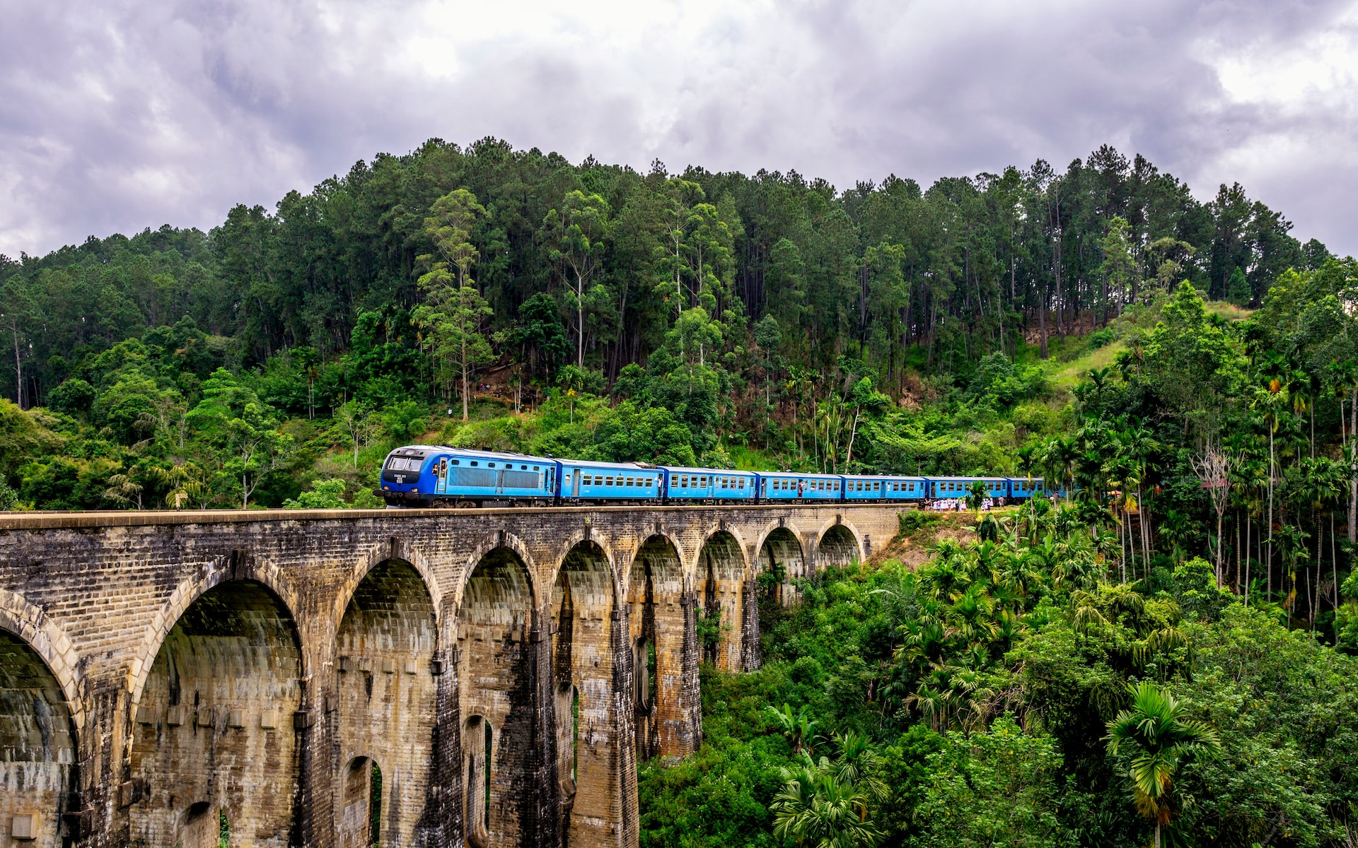 Trail Lanka Travels - gallery 4 