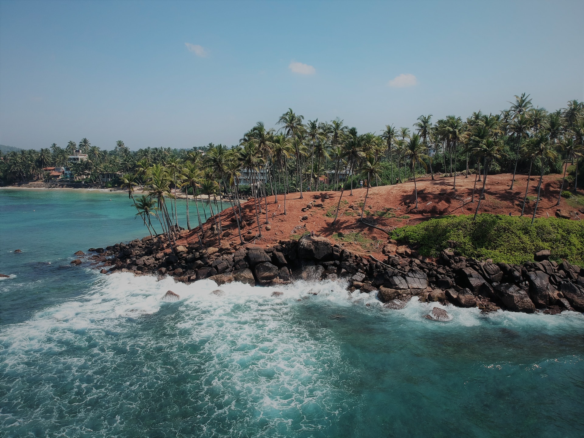 Whale watching in Sri Lanka