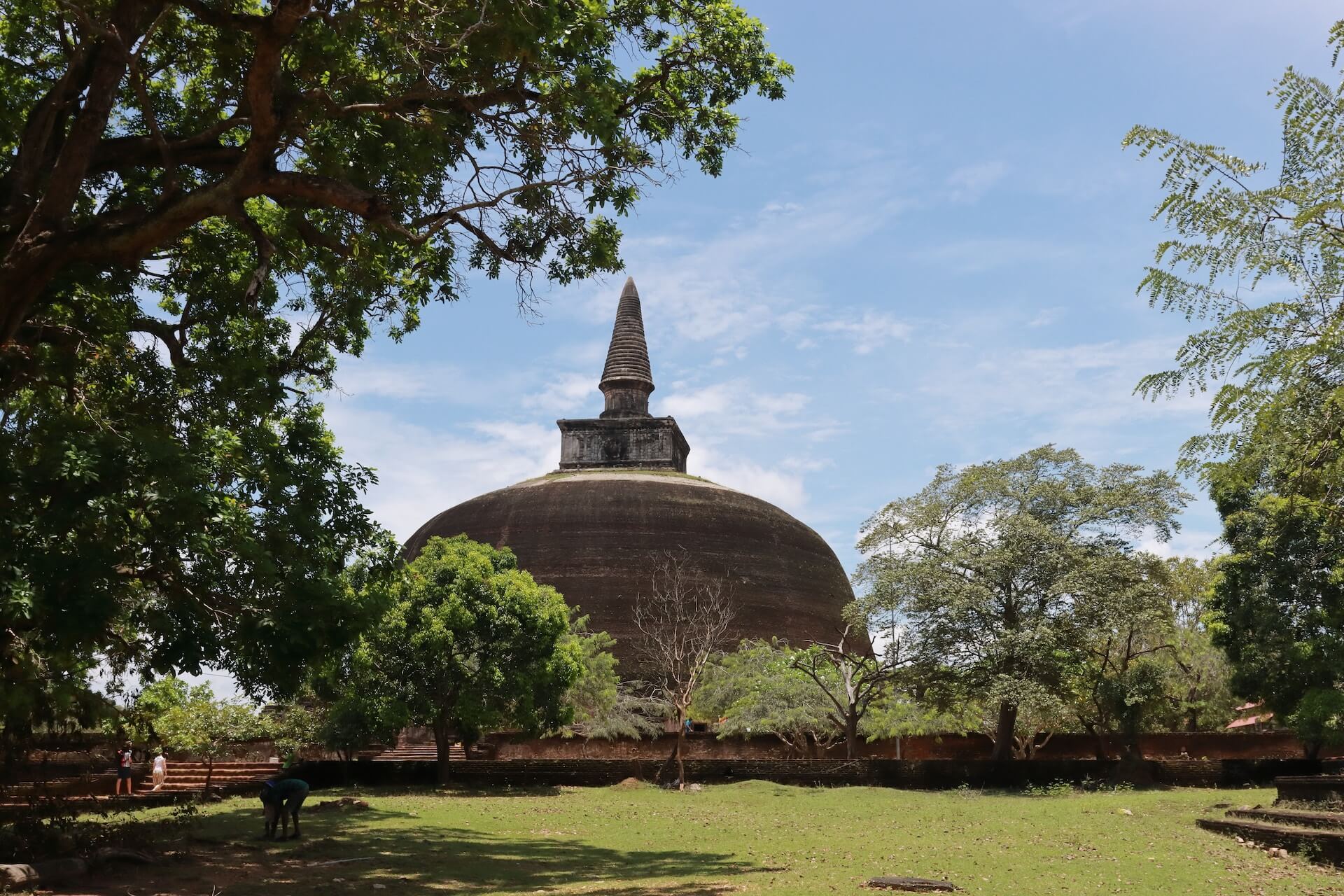 Polonnaruwa and Minneriya safari tour