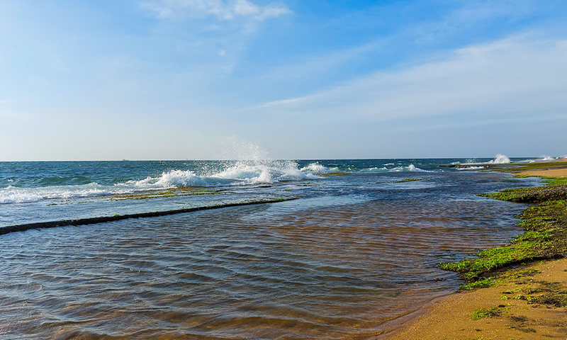 Negombo Beach Sri Lanka