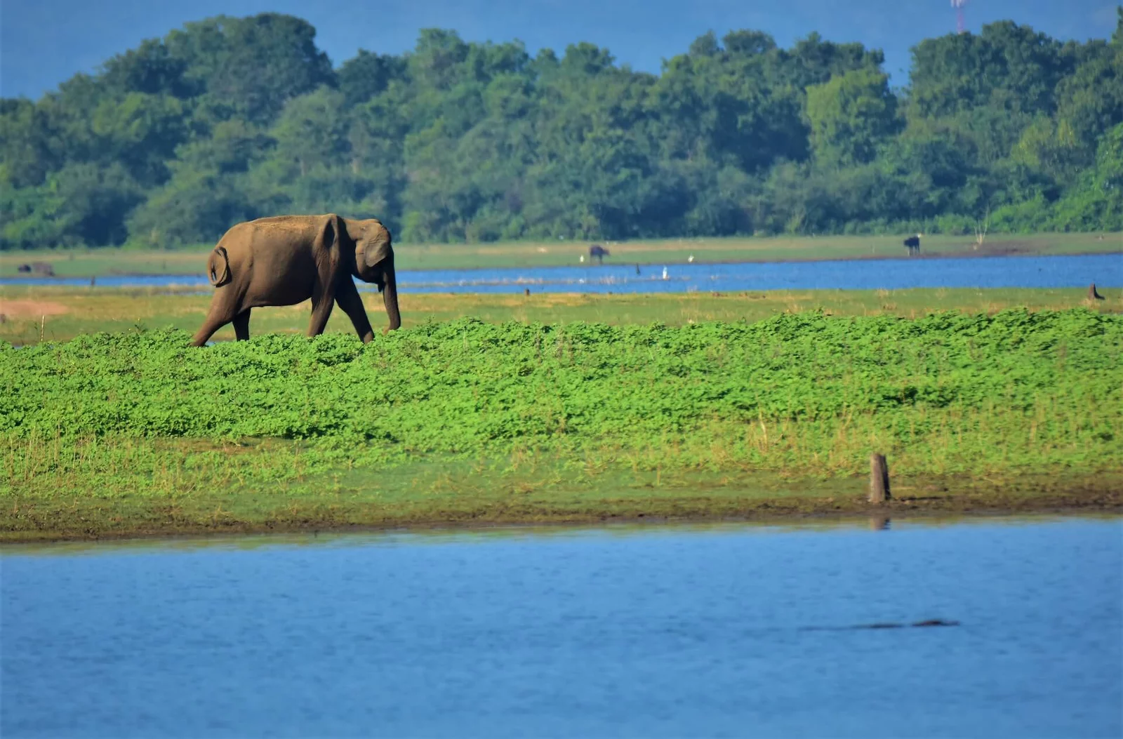 Trail Lanka Travels - Adventure tour packages in Sri Lanka on Wild-Bush Trails